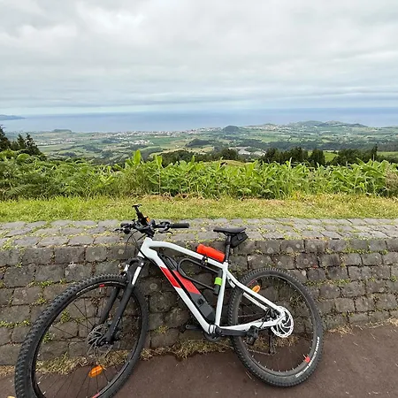 Golden Mermaid Villa, Big Amenities - Small Price *