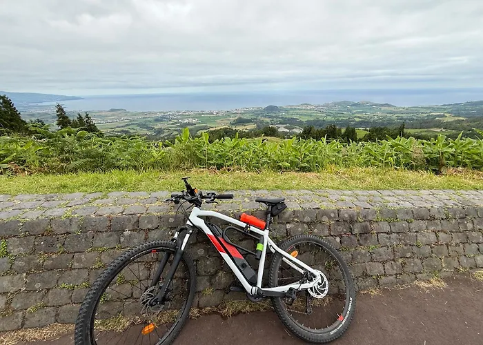 Golden Mermaid Villa, Big Amenities - Small Price *